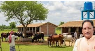 गौ-संरक्षण की दिशा में बड़ी पहल, 42 गौधामों में 5 हजार से अधिक पशुओं को मिल रहा आश्रय